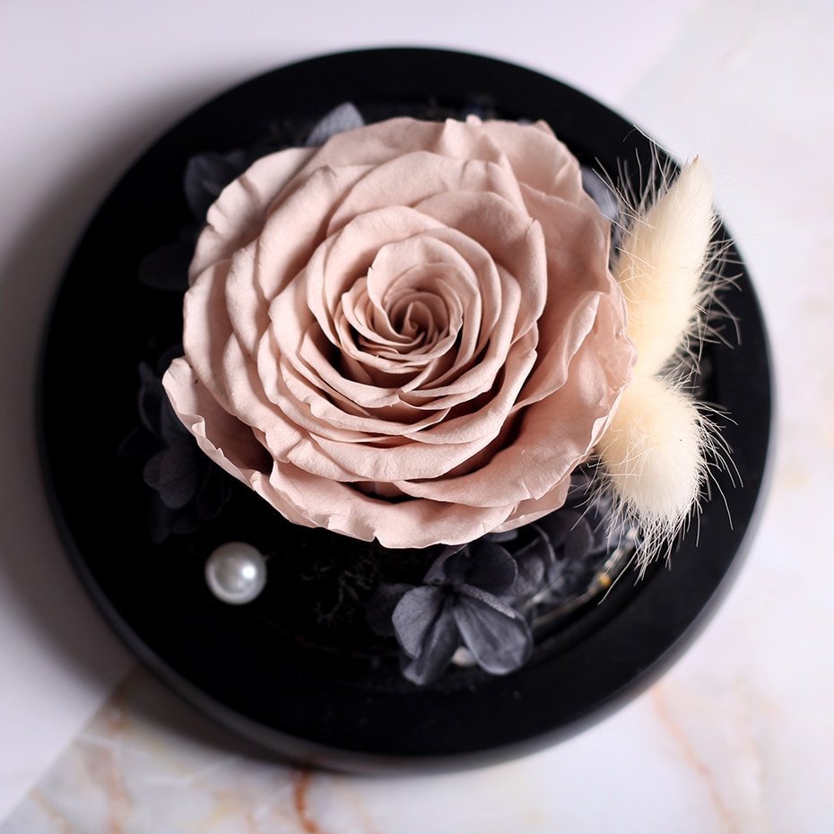 28_HTB1sU9RQQvoK1RjSZFwq6AiCFXaA