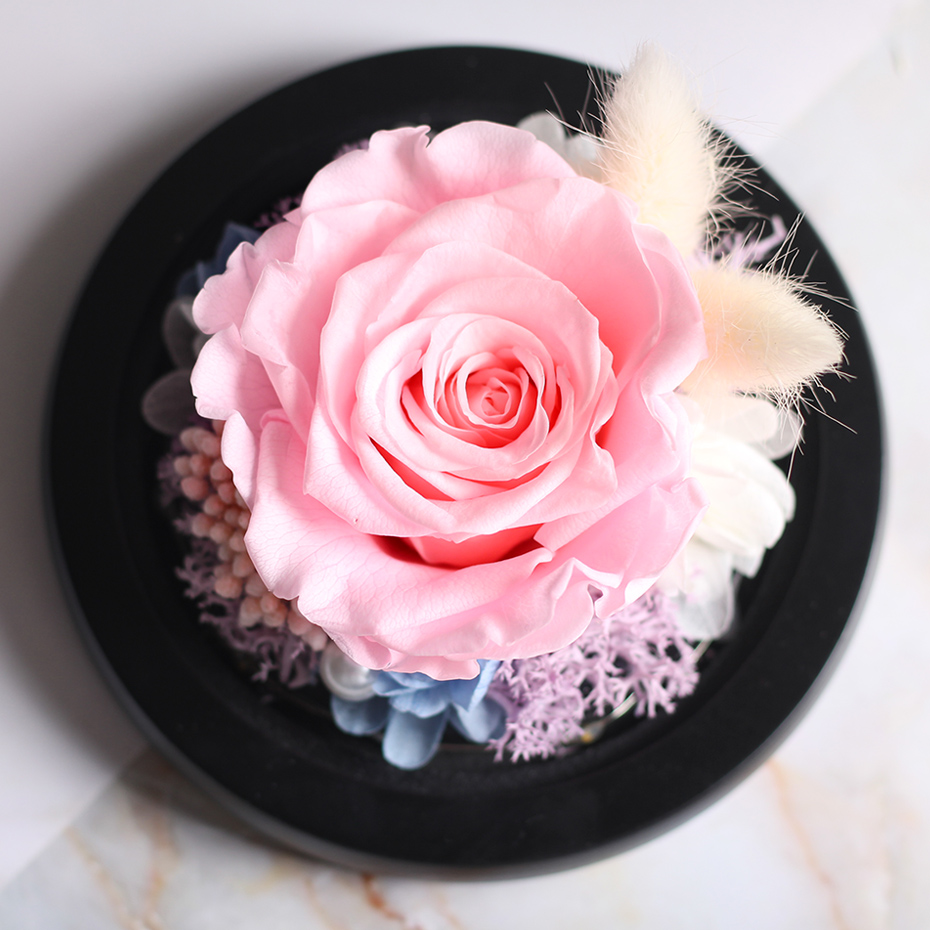 66_HTB1o2STQNjaK1RjSZFAq6zdLFXaS