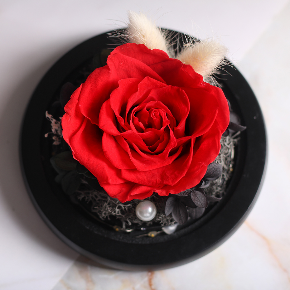 71_HTB1BvmTQNjaK1RjSZFAq6zdLFXaM