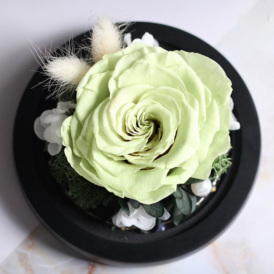 89_HTB1X19MQQvoK1RjSZFNq6AxMVXau